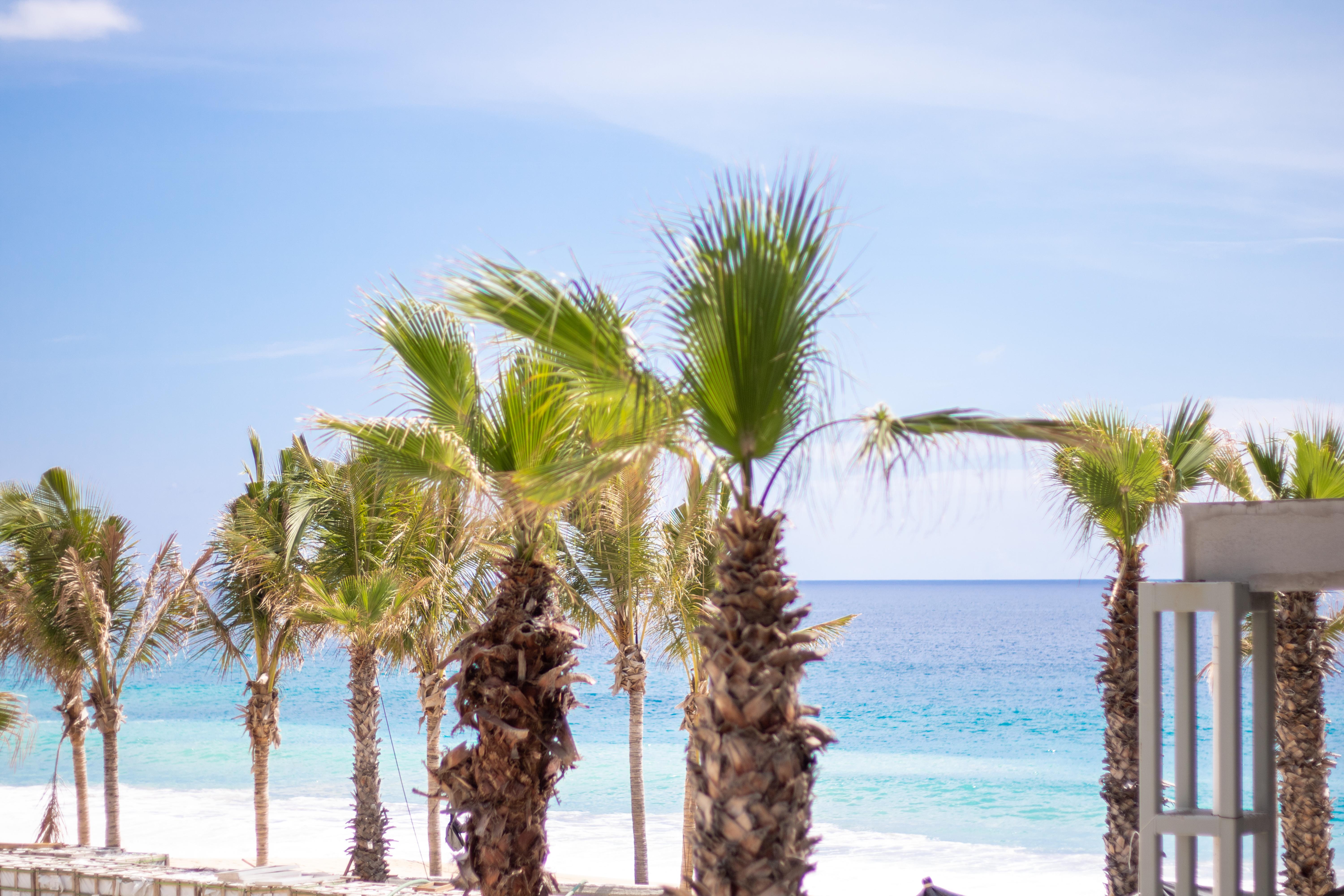 Garza Blanca Resort & Spa Los Cabos Cabo San Lucas Exterior foto